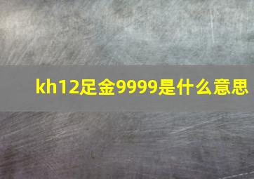 kh12足金9999是什么意思