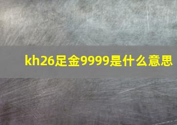 kh26足金9999是什么意思