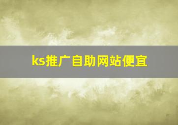 ks推广自助网站便宜