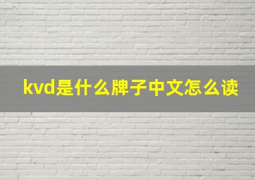 kvd是什么牌子中文怎么读