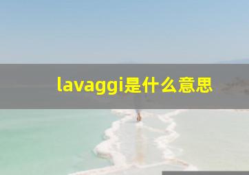 lavaggi是什么意思