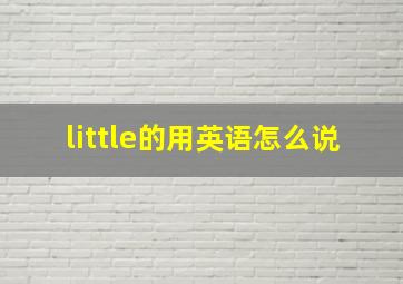 little的用英语怎么说