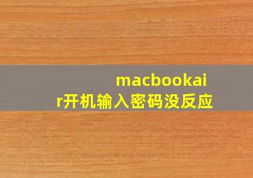 macbookair开机输入密码没反应