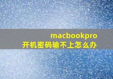 macbookpro开机密码输不上怎么办