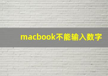 macbook不能输入数字