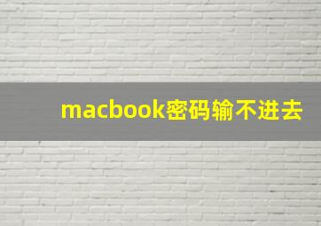 macbook密码输不进去