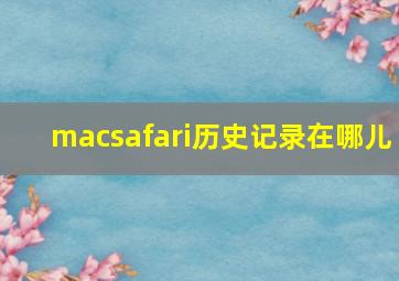 macsafari历史记录在哪儿