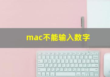 mac不能输入数字