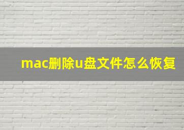 mac删除u盘文件怎么恢复