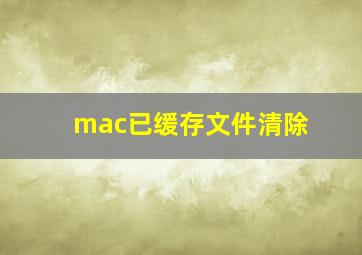 mac已缓存文件清除