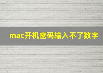 mac开机密码输入不了数字