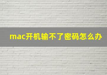 mac开机输不了密码怎么办