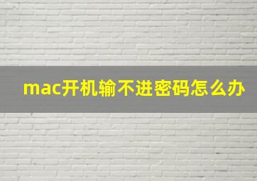 mac开机输不进密码怎么办