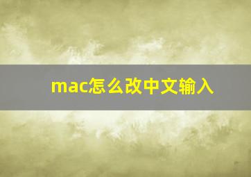 mac怎么改中文输入