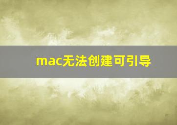 mac无法创建可引导