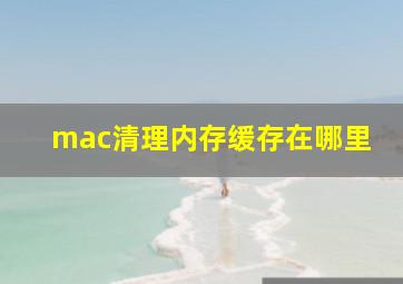 mac清理内存缓存在哪里