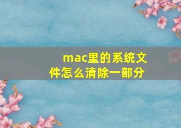 mac里的系统文件怎么清除一部分