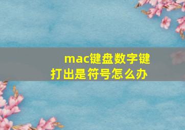 mac键盘数字键打出是符号怎么办