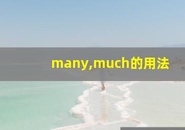 many,much的用法