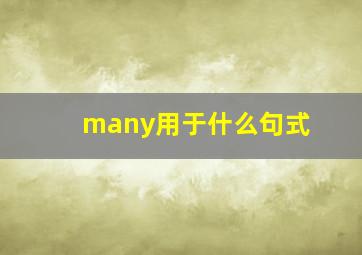 many用于什么句式