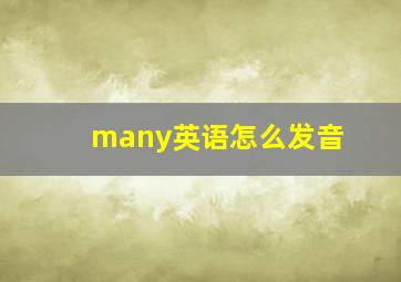 many英语怎么发音