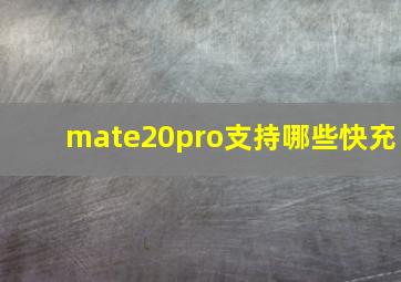 mate20pro支持哪些快充