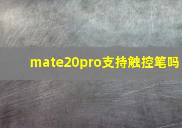 mate20pro支持触控笔吗