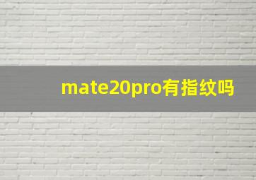 mate20pro有指纹吗