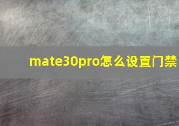 mate30pro怎么设置门禁