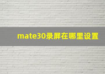 mate30录屏在哪里设置