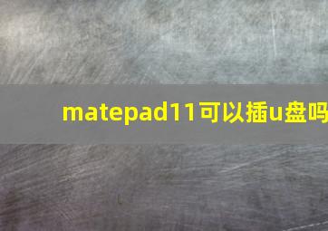 matepad11可以插u盘吗