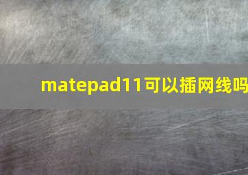 matepad11可以插网线吗