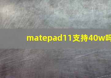 matepad11支持40w吗