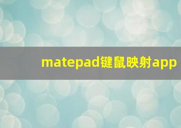 matepad键鼠映射app