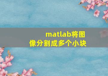 matlab将图像分割成多个小块