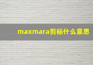 maxmara剪标什么意思