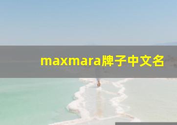 maxmara牌子中文名