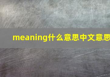 meaning什么意思中文意思