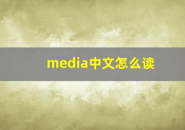 media中文怎么读