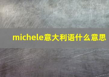 michele意大利语什么意思