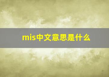 mis中文意思是什么