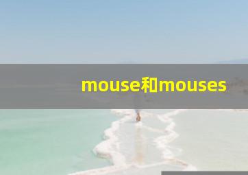 mouse和mouses