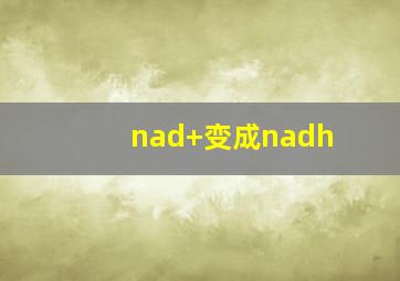 nad+变成nadh