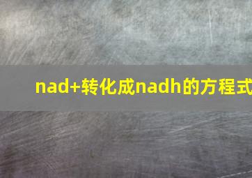 nad+转化成nadh的方程式