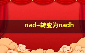 nad+转变为nadh