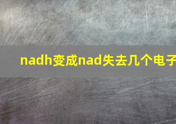 nadh变成nad失去几个电子