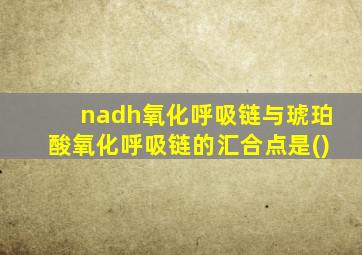 nadh氧化呼吸链与琥珀酸氧化呼吸链的汇合点是()