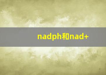 nadph和nad+