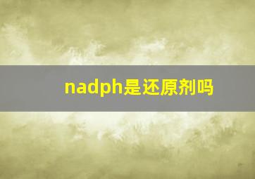 nadph是还原剂吗