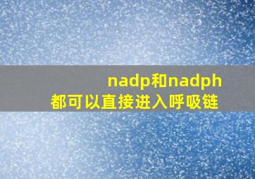 nadp和nadph都可以直接进入呼吸链